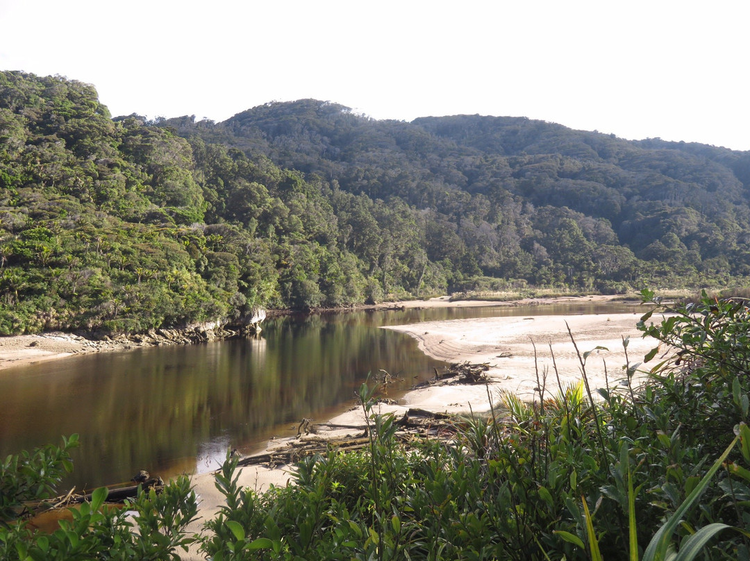 Kahurangi Guided Walks景点图片