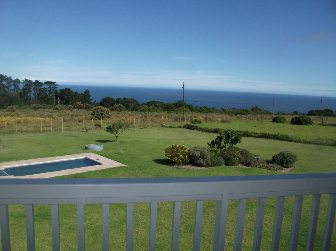 Herolds Bay酒店住宿-The Noble Ant