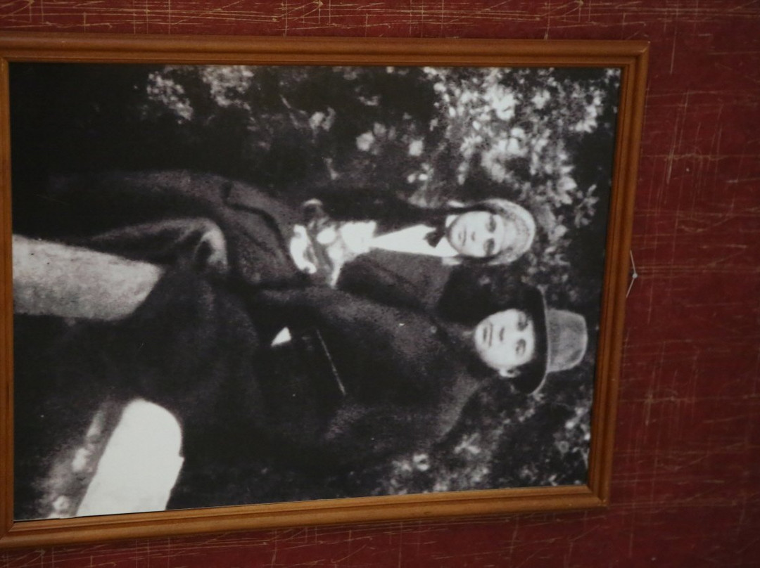 Anna Snegina's Poem Museum景点图片