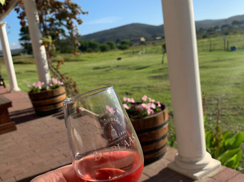 Boplaas Garden Route Tasting Room-克莱恩布拉克河必去景点
