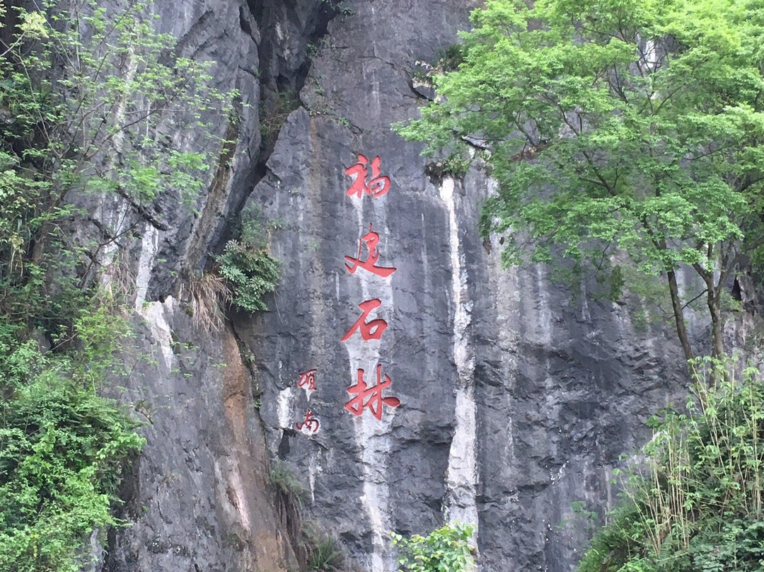 永安鳞隐石林-永安市必去景点