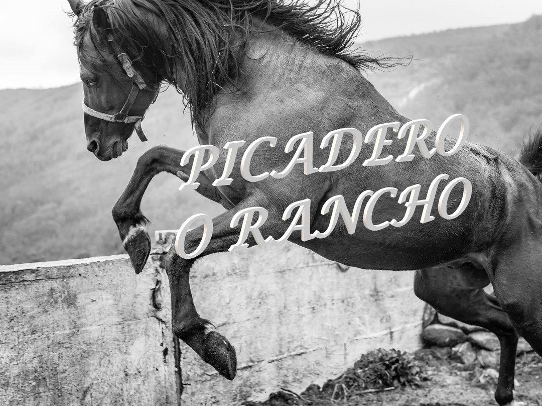 Picadero O Rancho景点图片