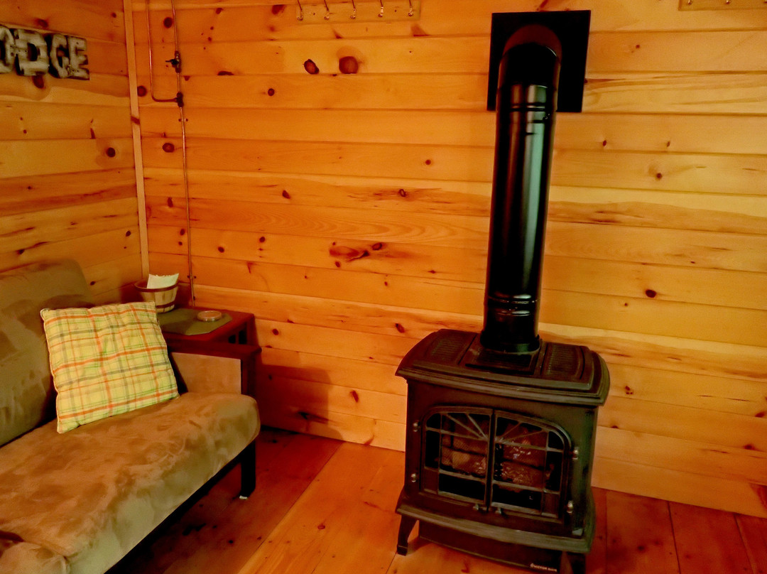 Wild Fox Cabins & Campground主图