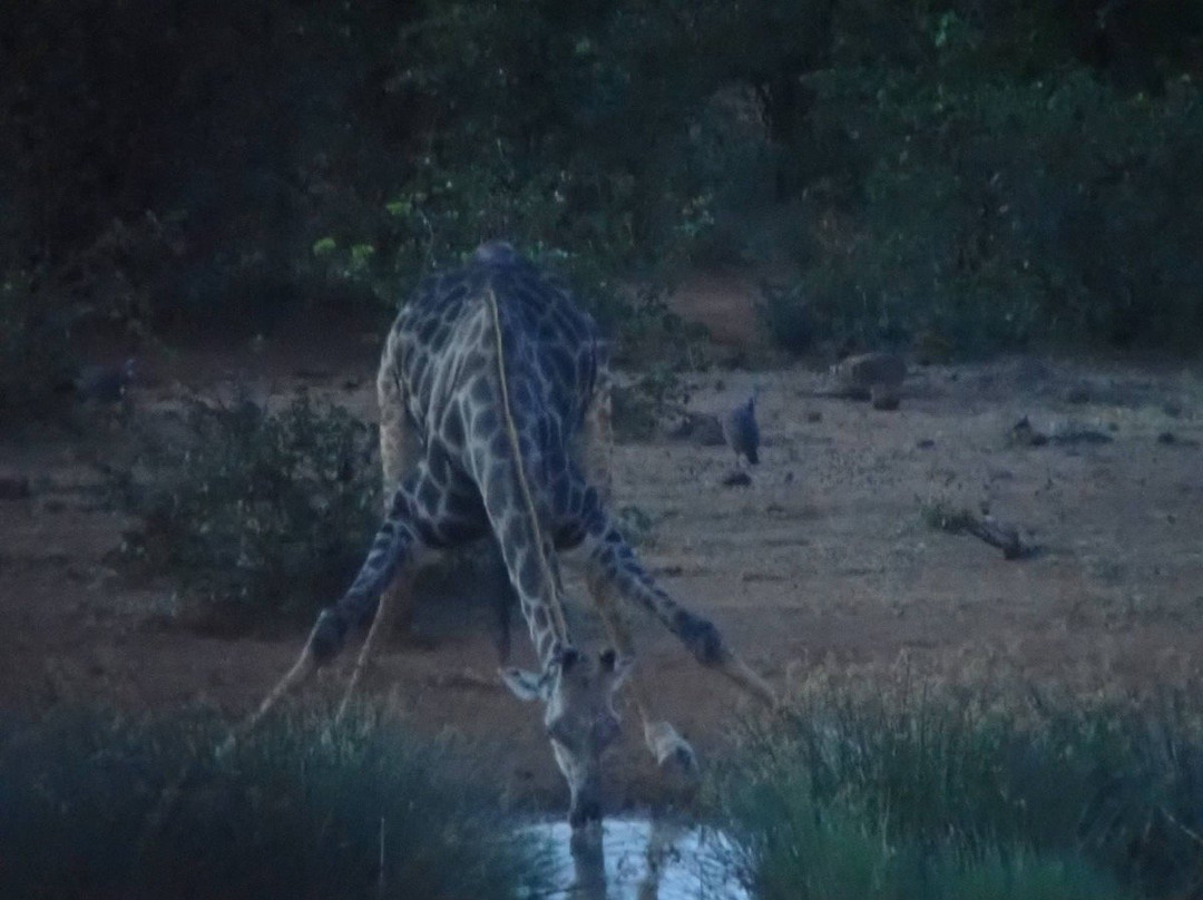 Victoria Falls Safari Club主图