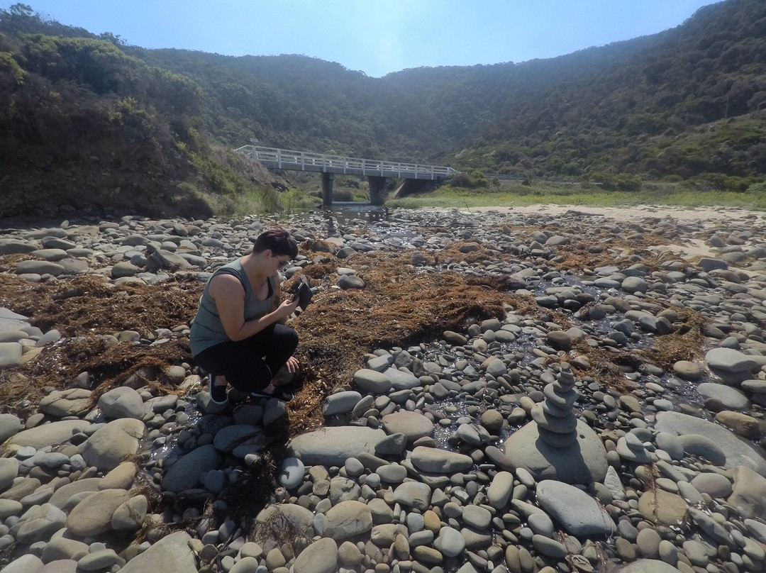 Carisbrook Creek-Wongarra必去景点