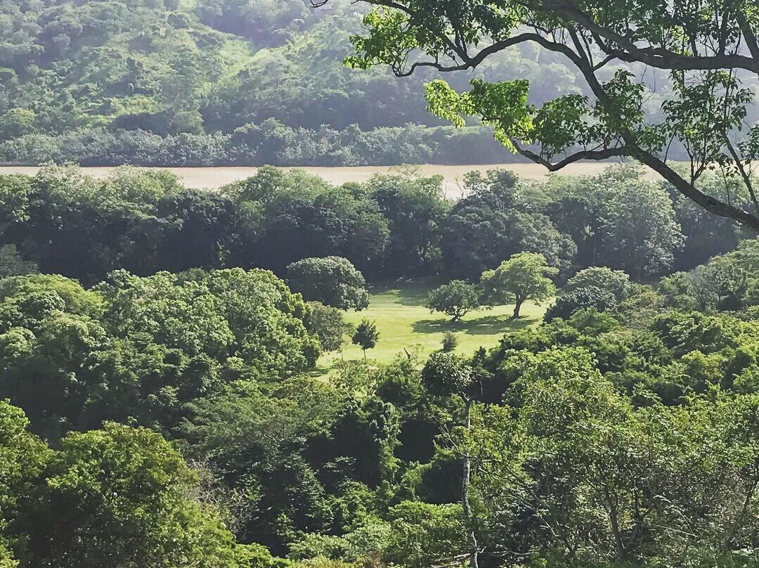 Stephans Guesthouse主图