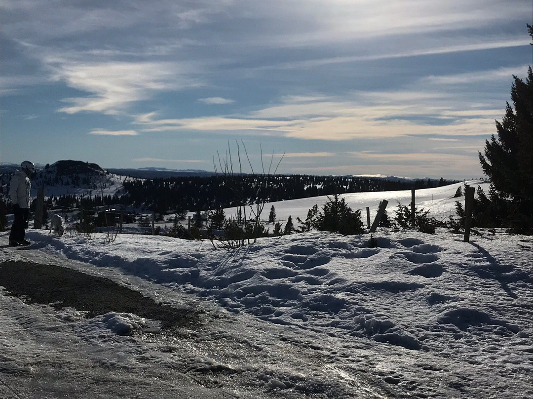 Storefjell Ski and Sledding Center-古尔必去景点