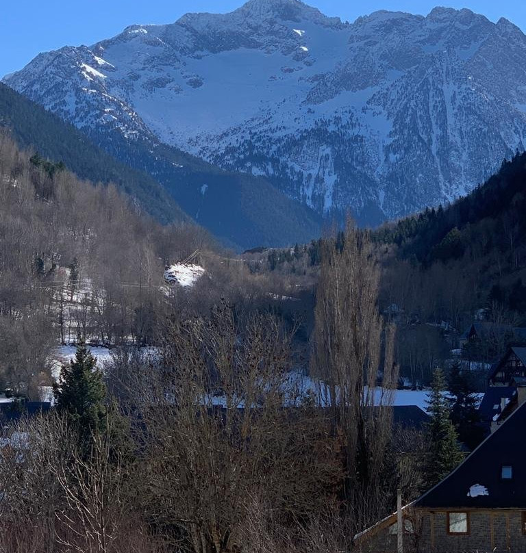 Edelweiss Hotel主图