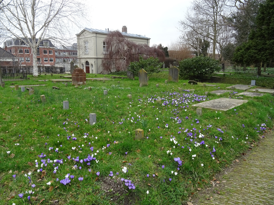 Begraafplaats Groenesteeg-莱顿必去景点