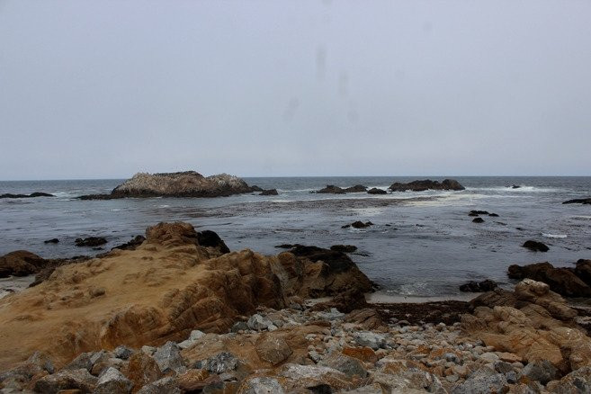 Seal Rock Creek beach景点图片