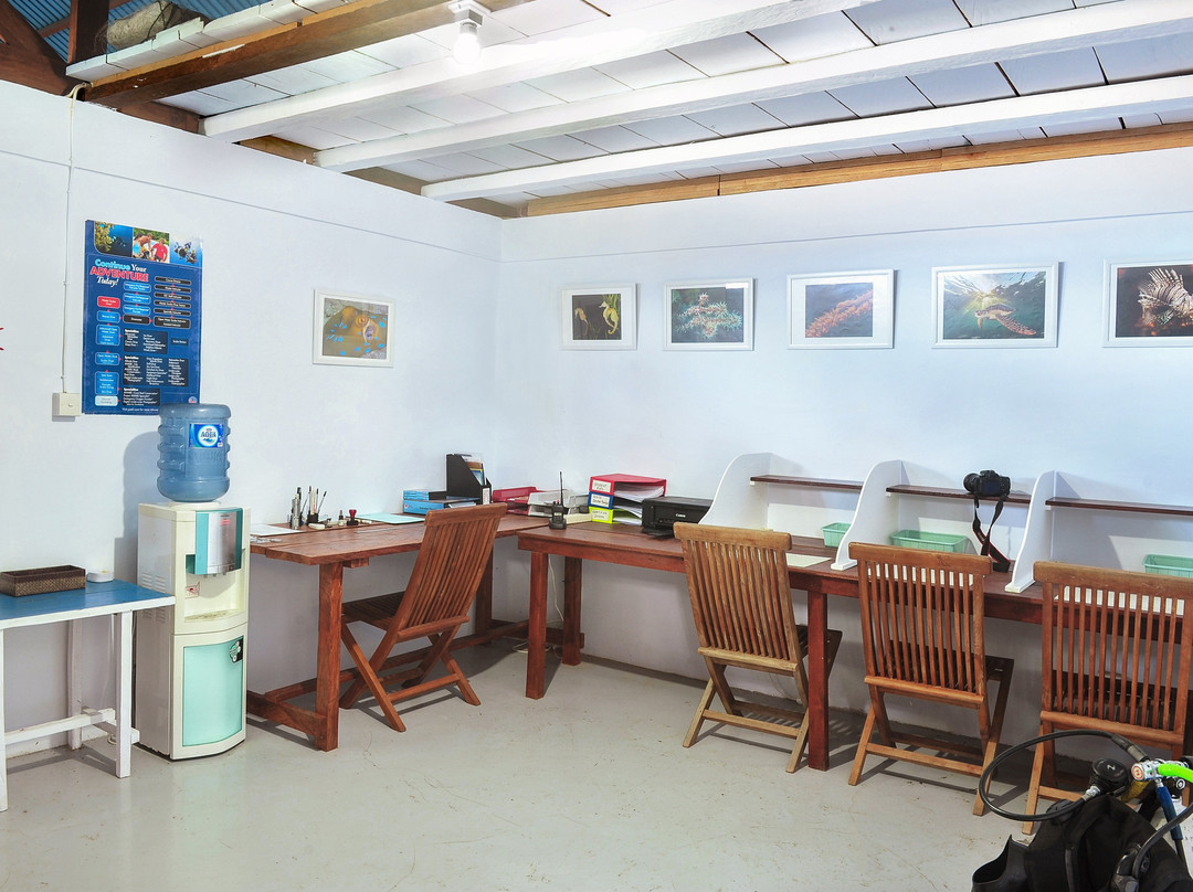 Janji Laut Diving Center景点图片