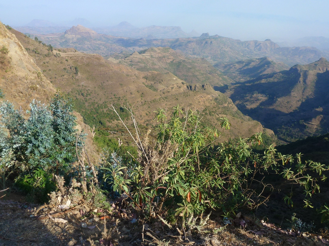 Ethio Target Tour & Travel-亚的斯亚贝巴必去景点