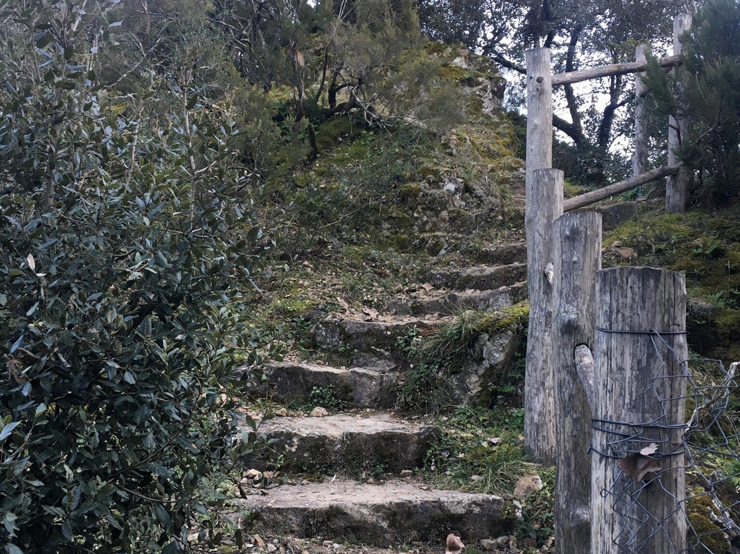 Chapelle de Saint-Cassien des Bois景点图片