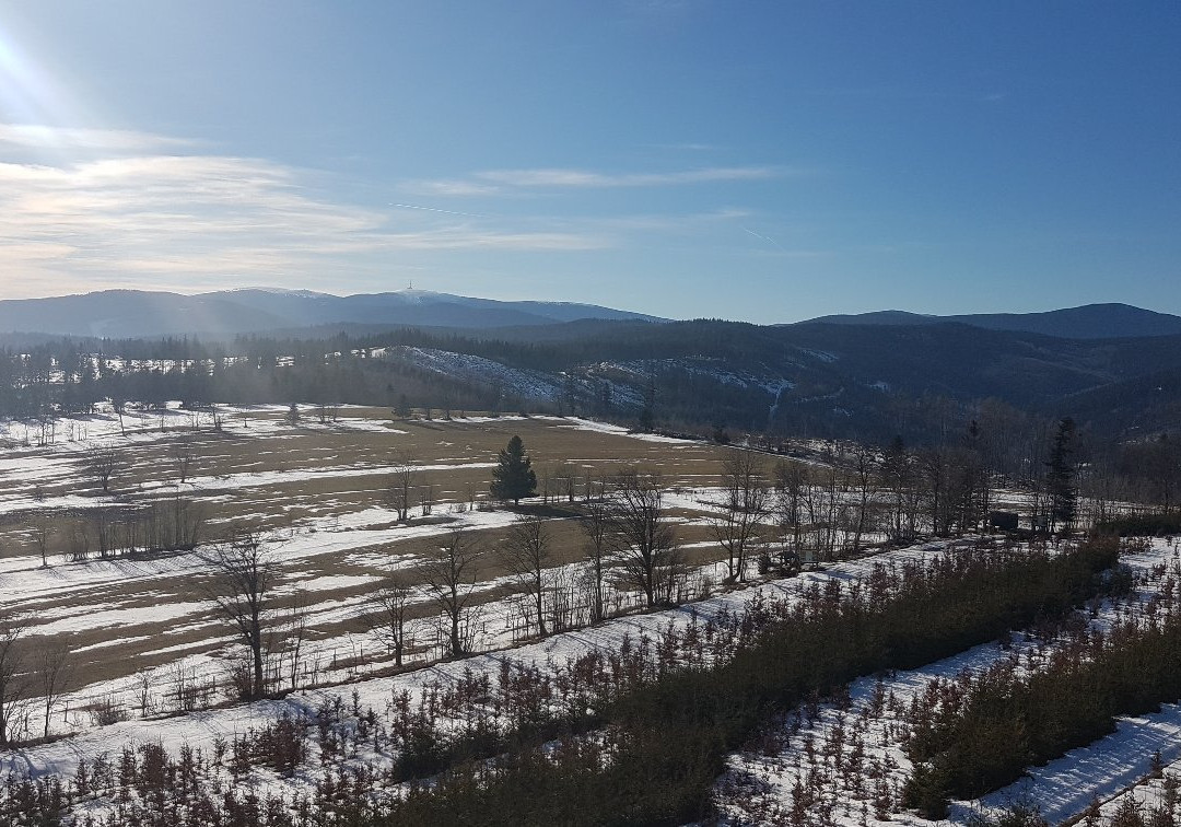 Lookout tower Na Skalce Holcovice-Mesto Albrechtice必去景点