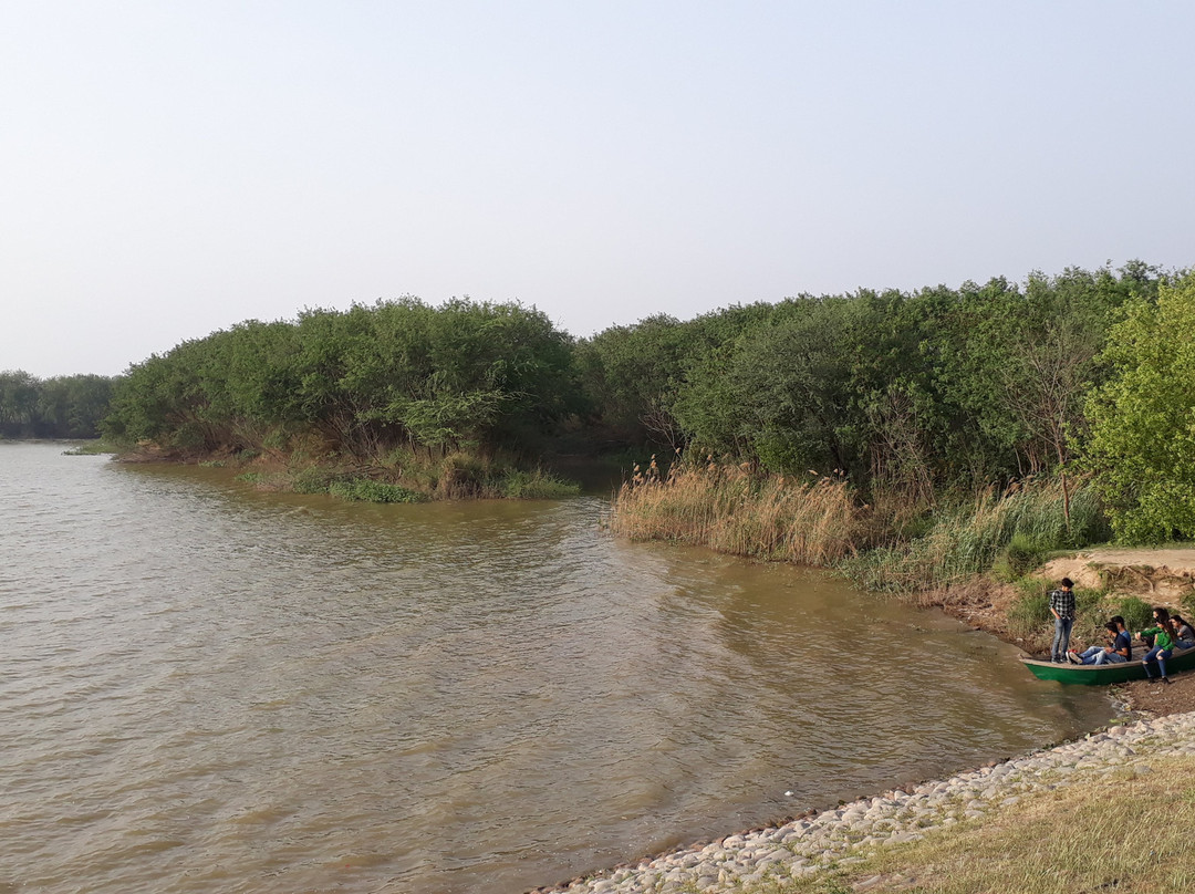 Sukhna Wildlife Sanctuary景点图片