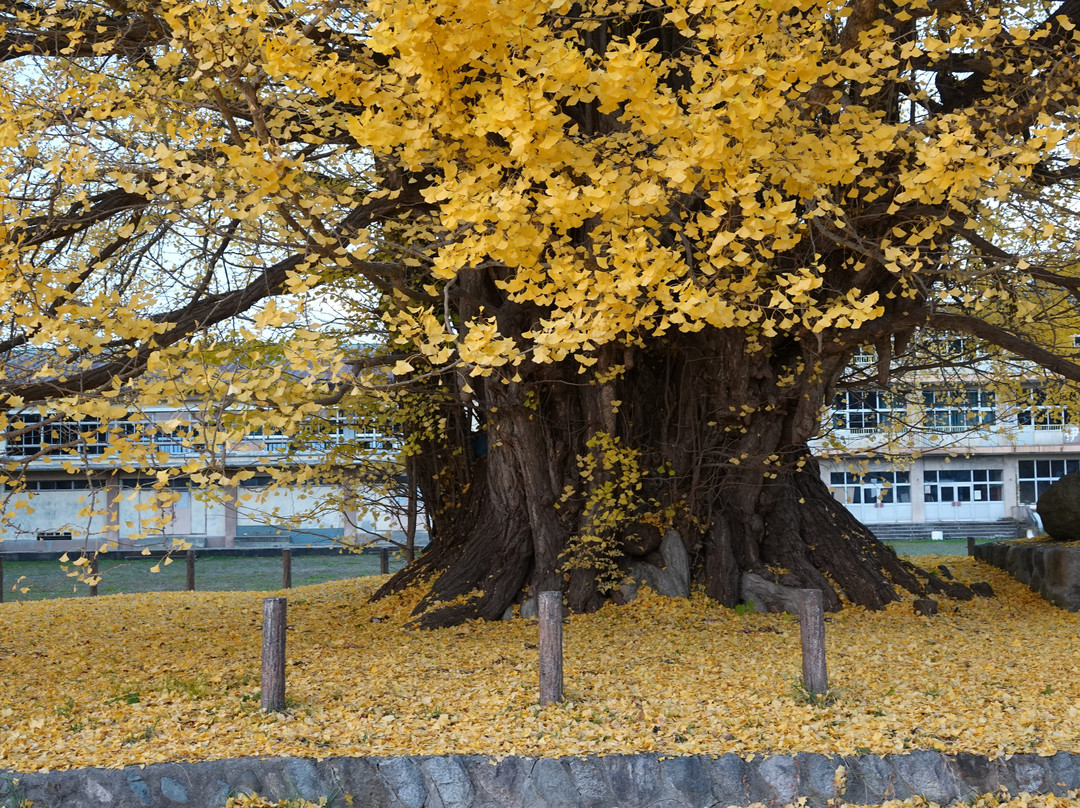 Furumachi no Oicho-南会津町必去景点