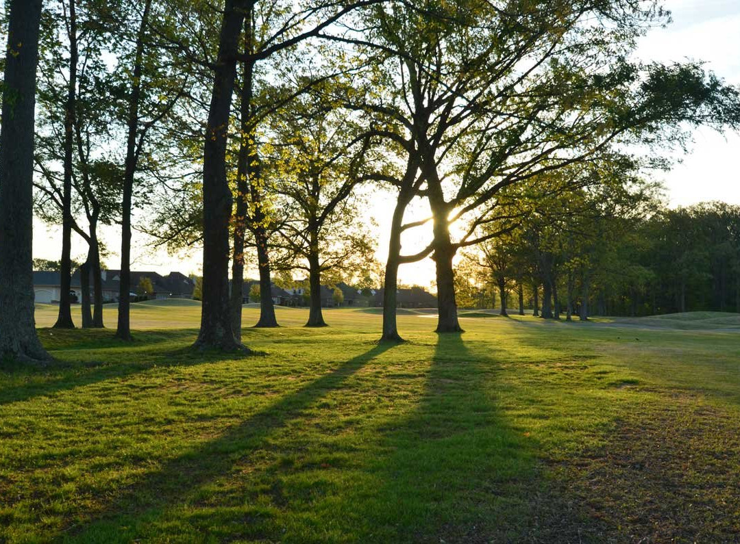 Fair Oaks Golf Club景点图片