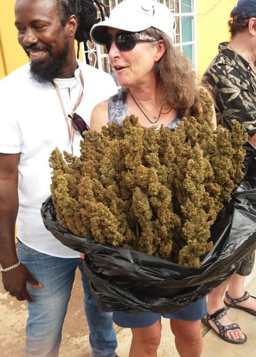 Cross Jamaica Tours-内格里尔必去景点