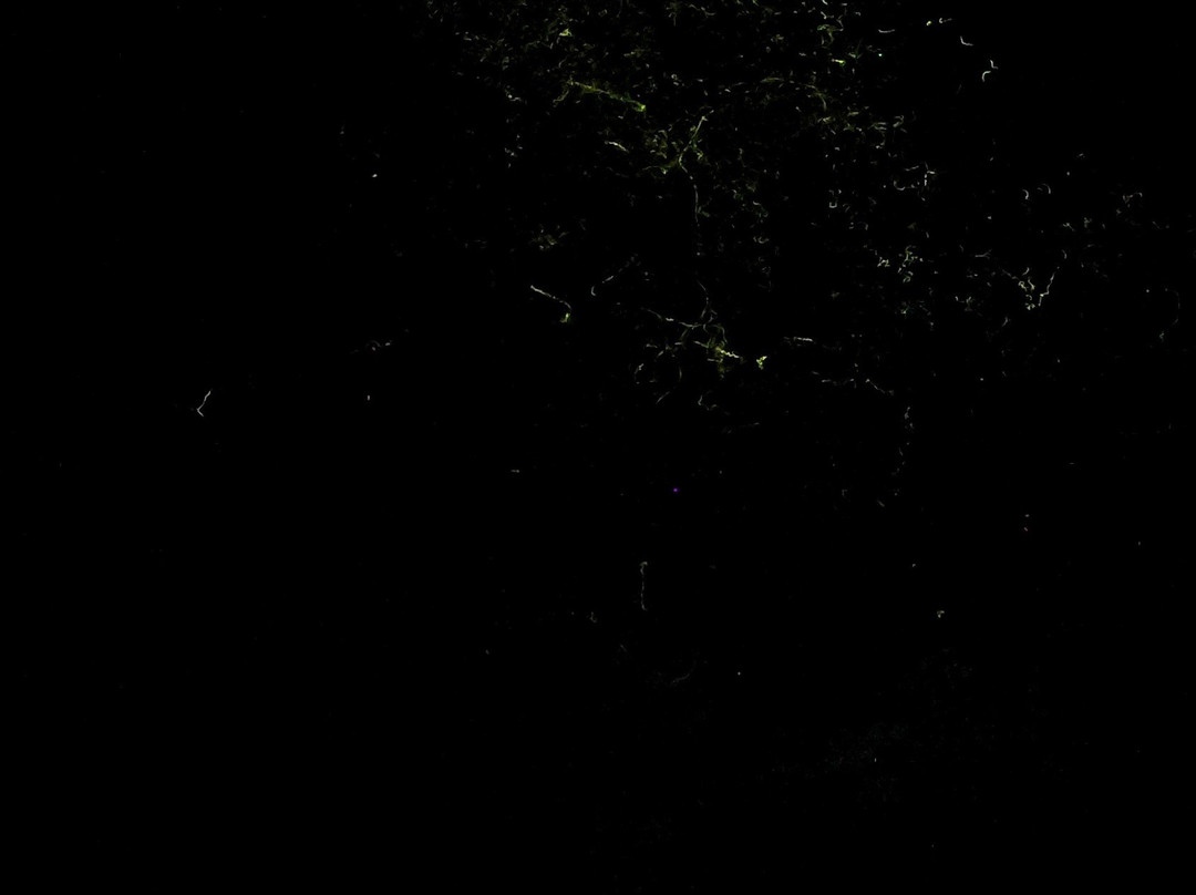 迪高岛度假村主图