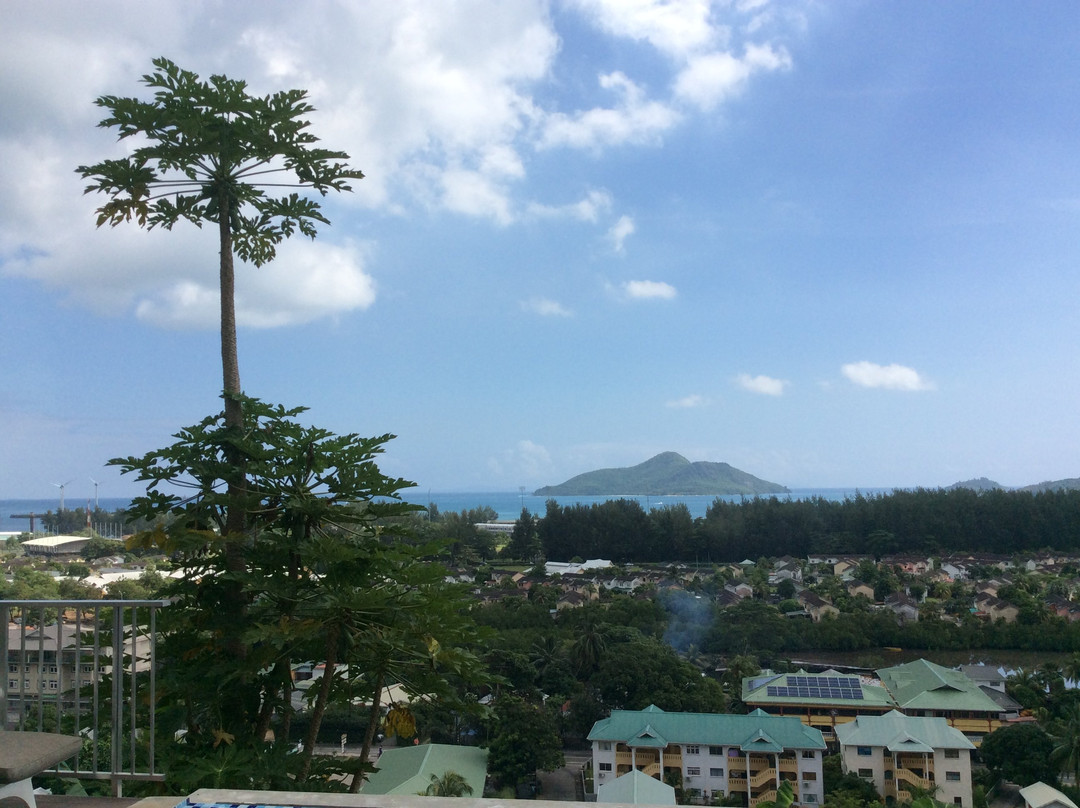 The Ridge Residence主图