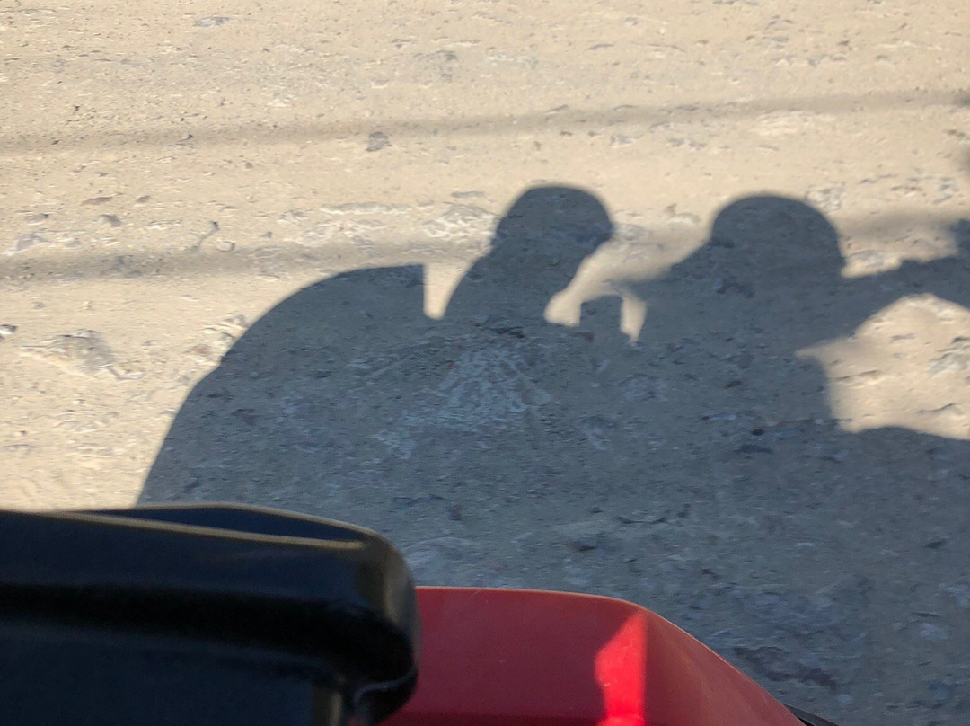Pacific Dirt Road Adventures景点图片