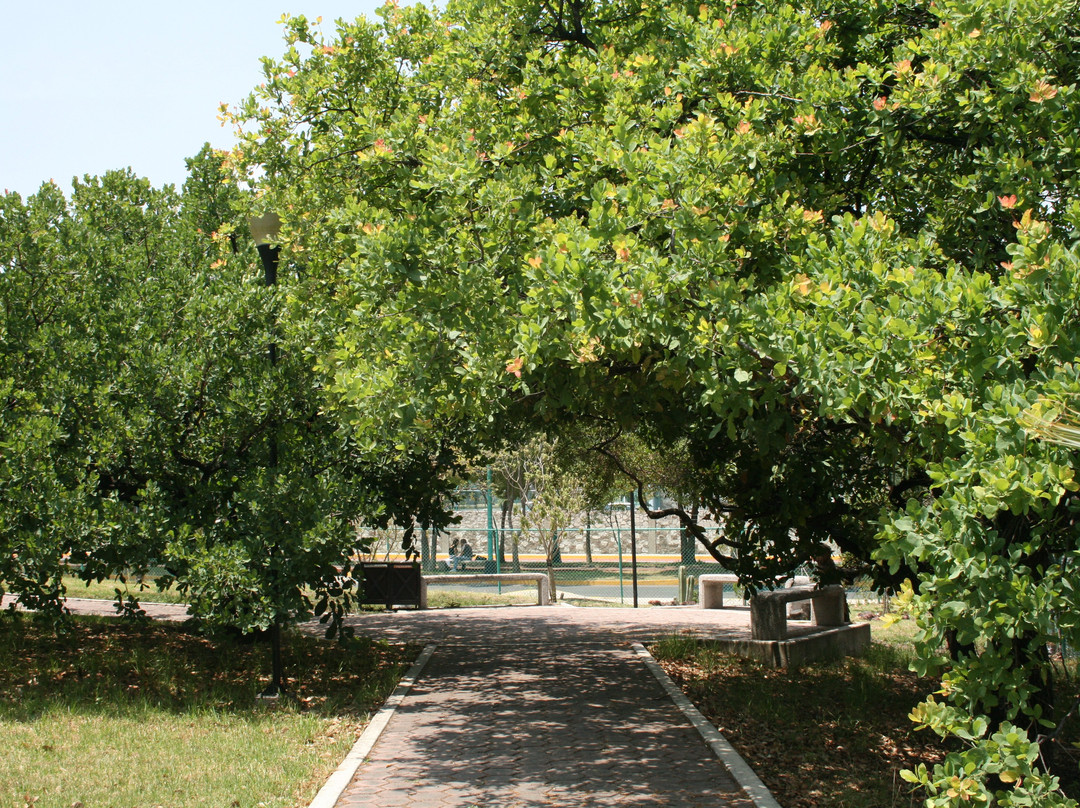 Jardín Botánico Universitario BUAP景点图片
