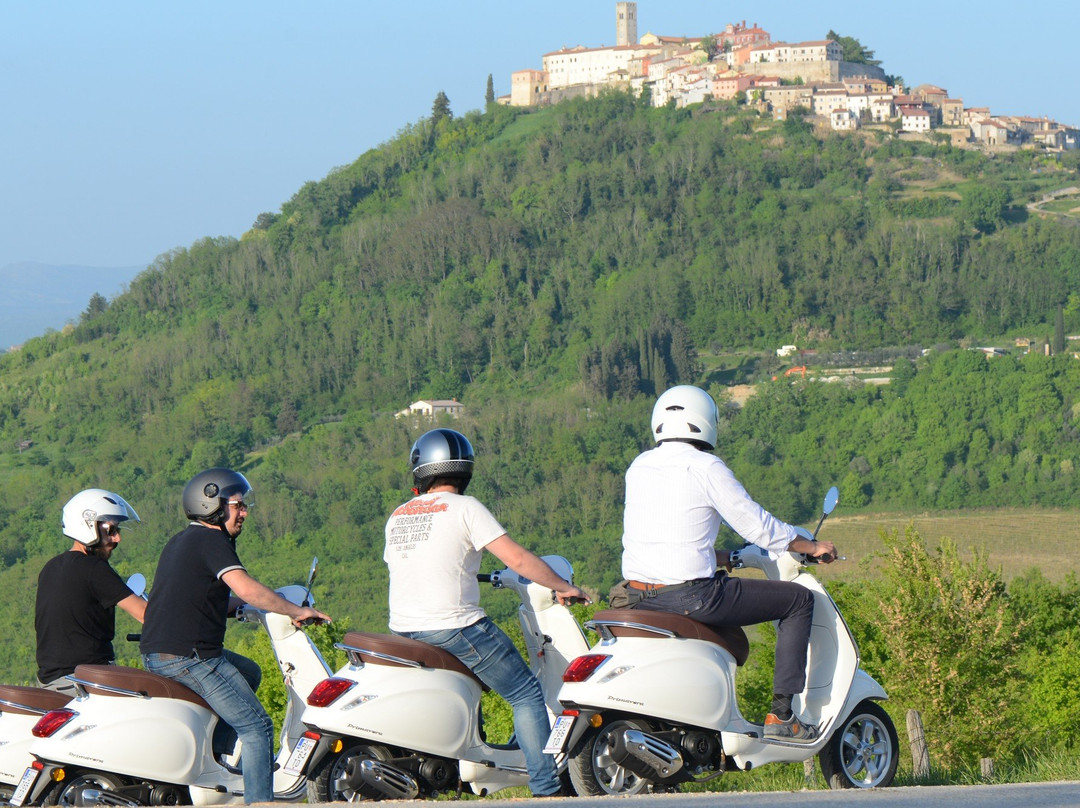 Vespa Tour Istria - Montona Tours景点图片