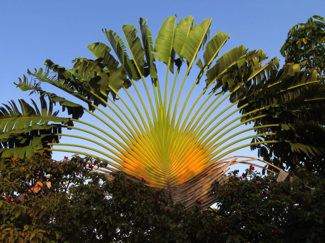 La Quinta Hotel Boutique主图