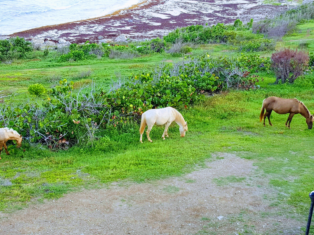 Hotel Mont Vernon主图