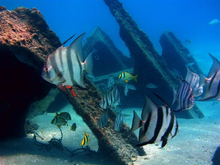 Delray Public Beach-德拉海滩必去景点