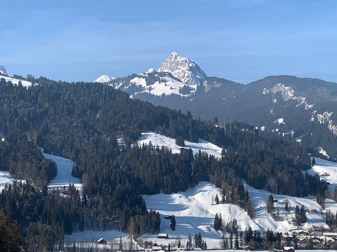 Hotel Le Grand Chalet Gstaad主图