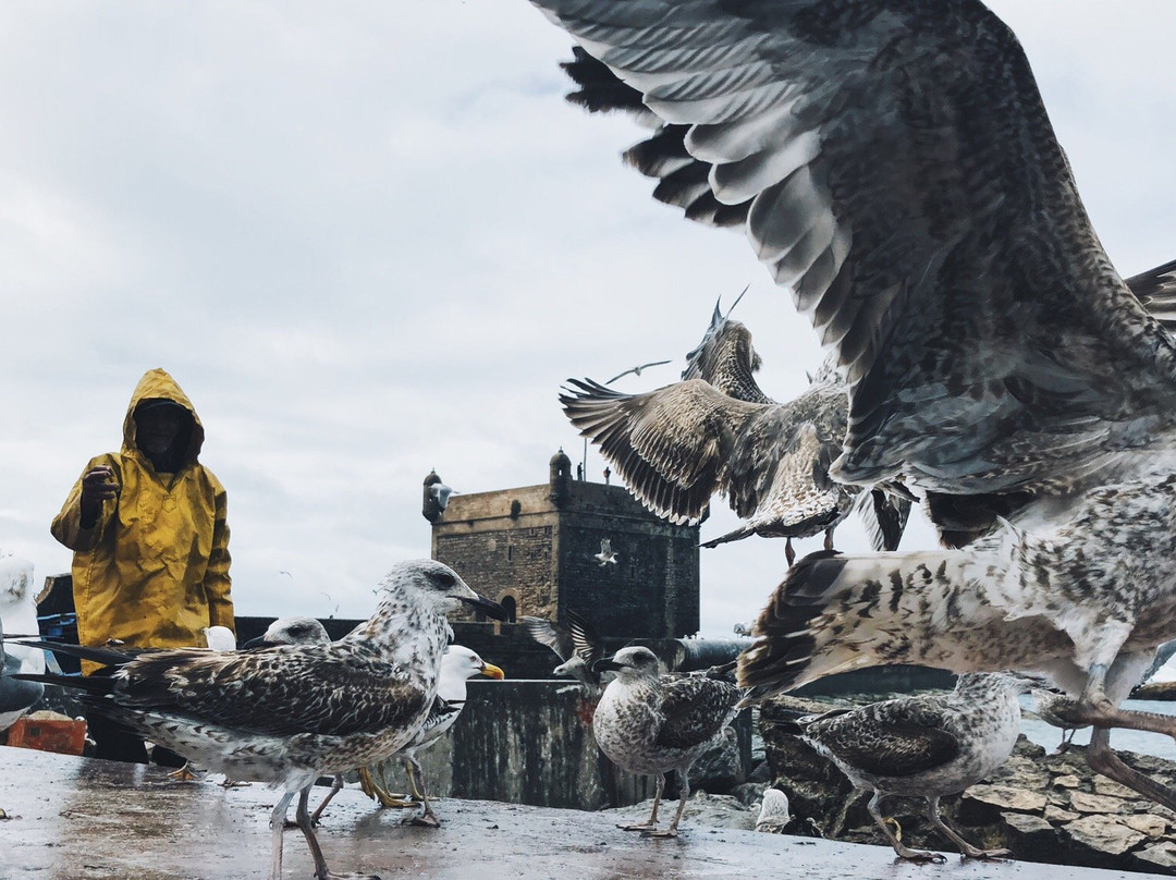 Morocco Guided Travel-非斯必去景点