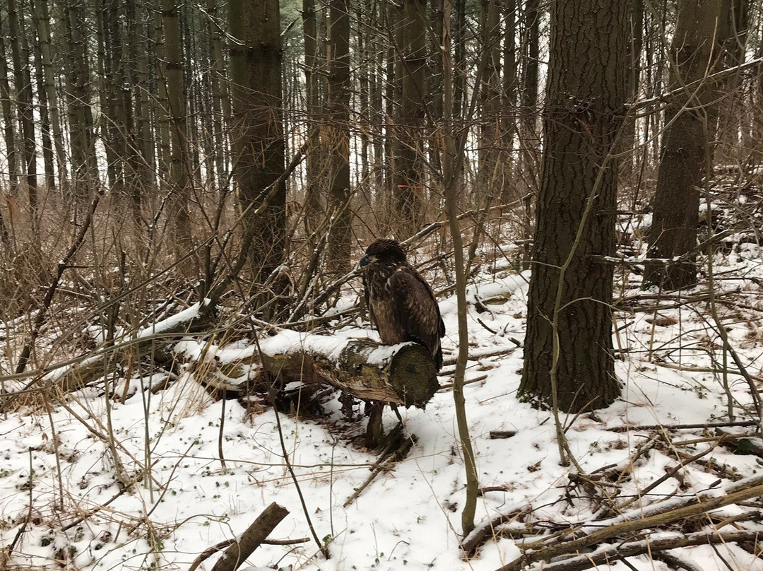 Christie Lake Conservation Area-邓达斯必去景点