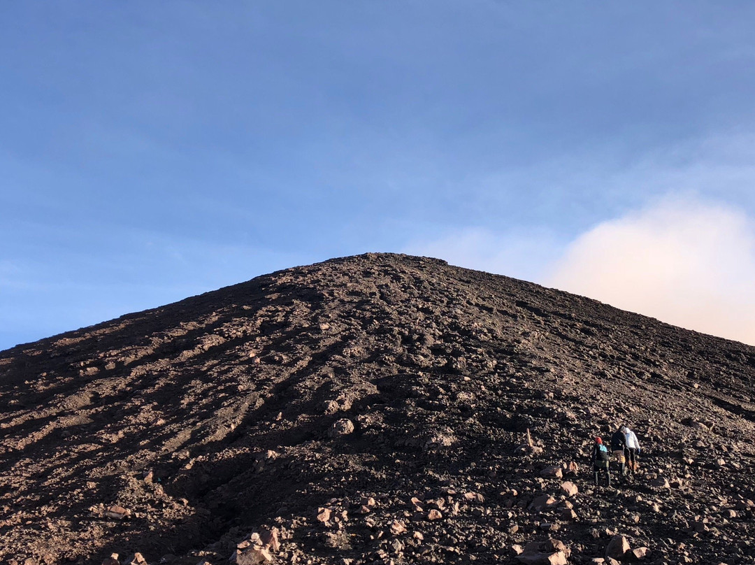 Wild Sumatra Tours-明古鲁必去景点