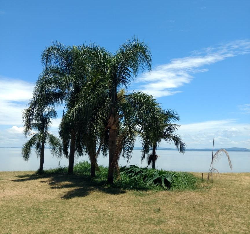 Calçadão de Ipanema-阿雷格里港必去景点
