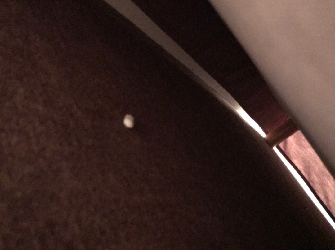 Kyriad Bordeaux Begles主图