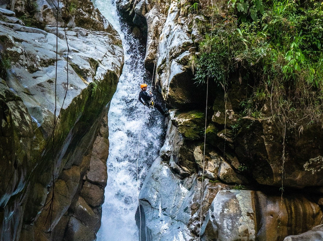 Eco Guias Colombia-San Carlos必去景点
