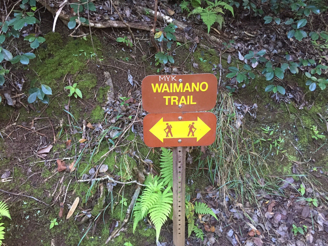 Waimano Ridge Trail-珍珠市必去景点