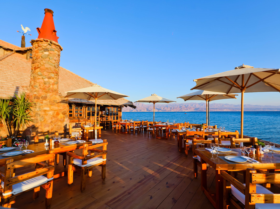 塔巴餐馆和美食-Nelson Restaurant & Bar