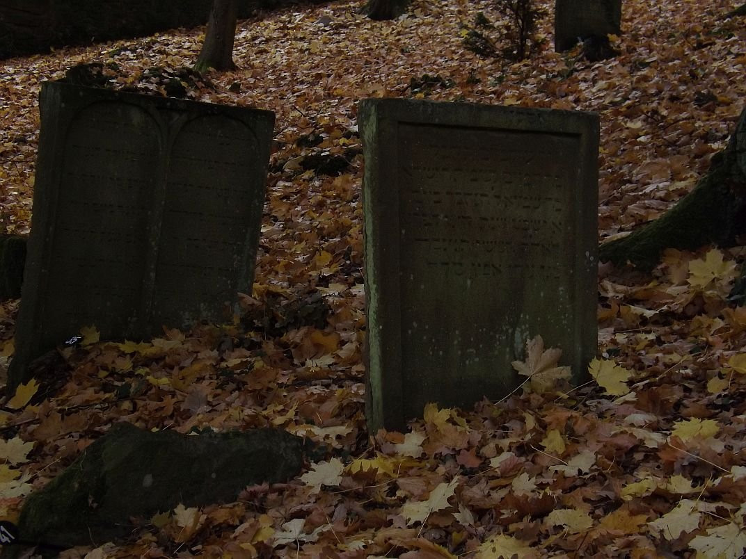Jewish Cemetery-沃特海姆必去景点