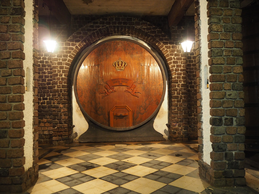 Bodega Santa Rosa-蒙得维的亚必去景点