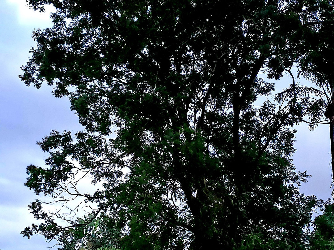 玛雅玛雅莱杰广场酒店主图