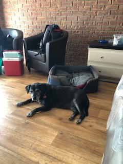 Jolly Swagman Motor Inn主图