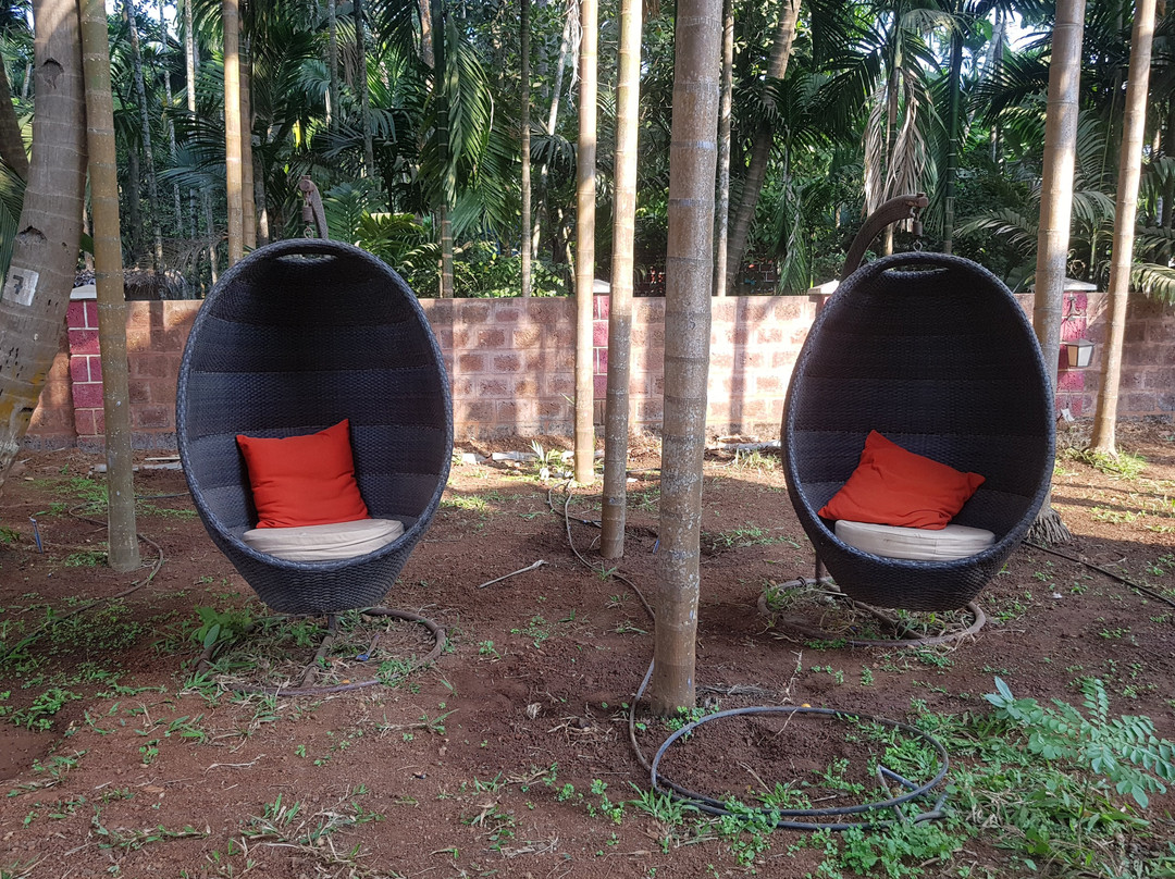 Coast Ecotel Luxury Resort主图