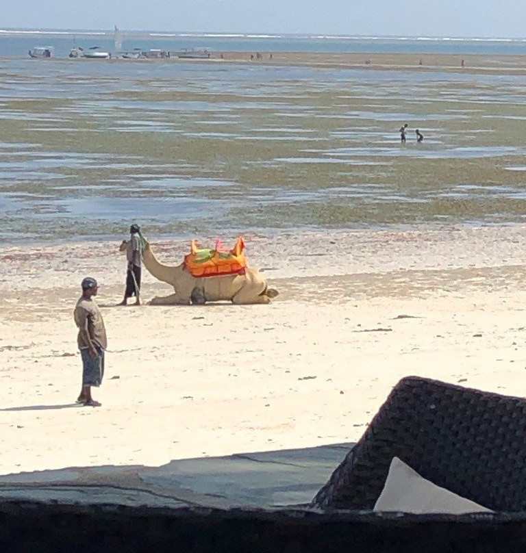 肯尼亚湾海滩酒店主图