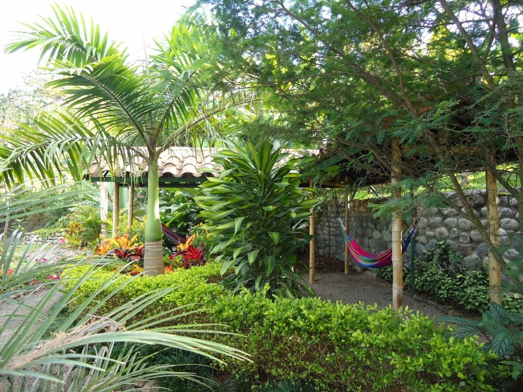 Santuario Hibiscus主图