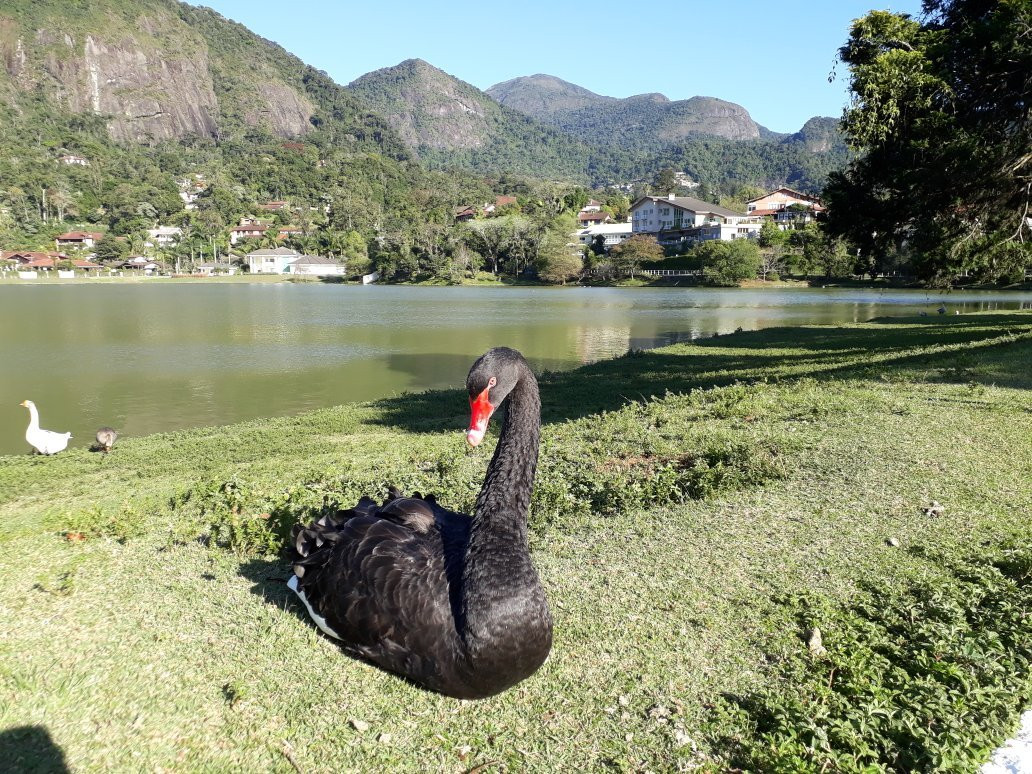 Lago Comary-特雷索波利斯必去景点