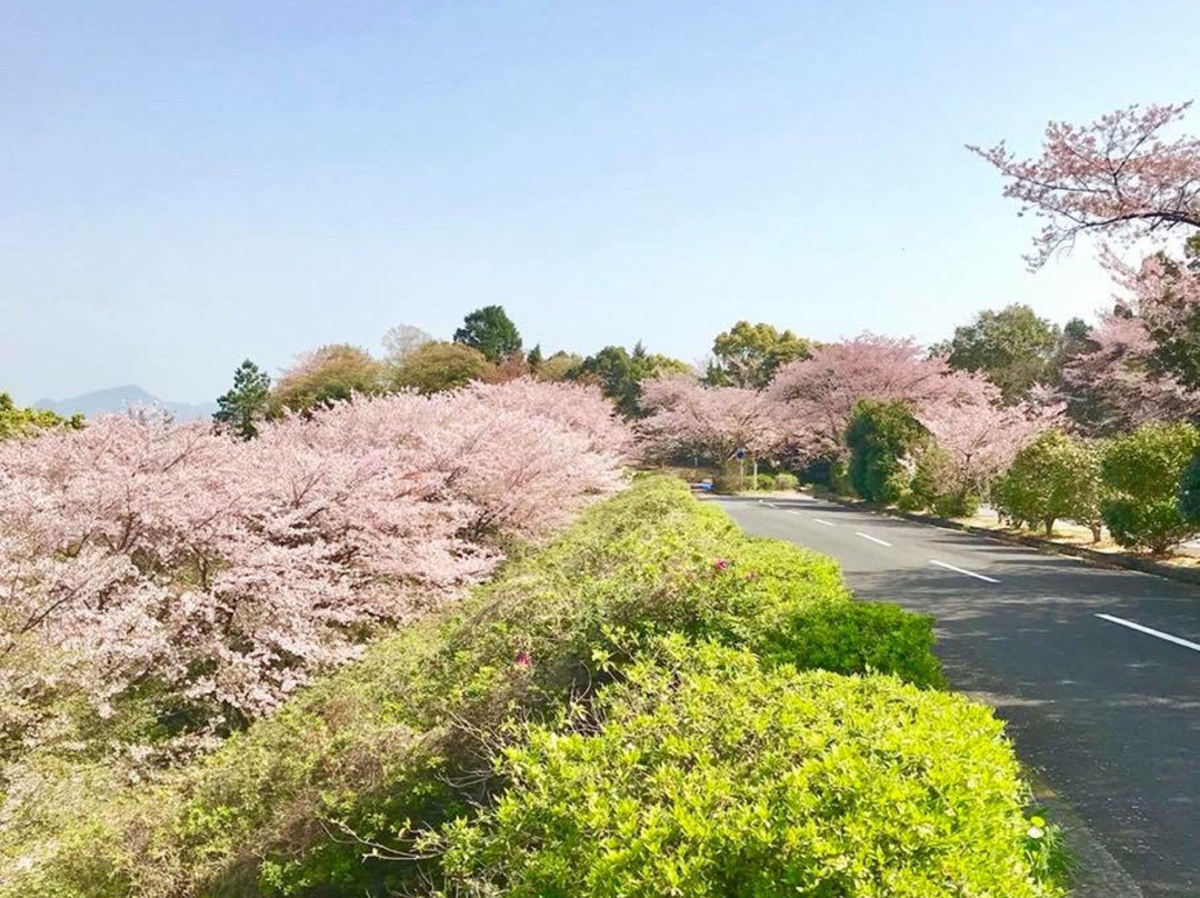 Mt. Zengan Observation Deck-上天草市必去景点