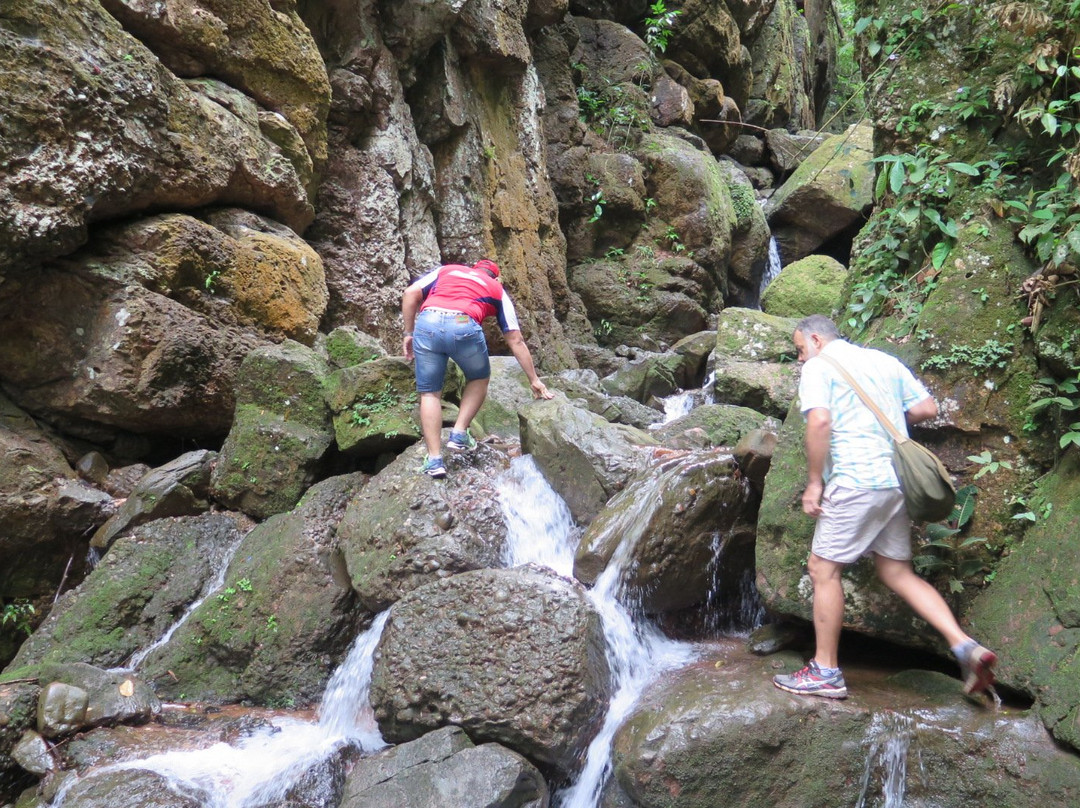 Cachoeira dos Parecis-Guajara-Mirim必去景点