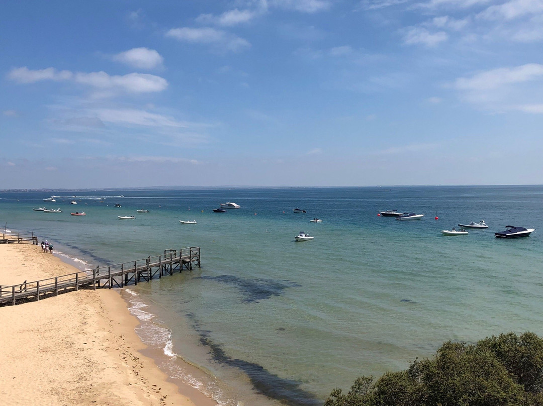 Sorrento Portsea Artists Trail景点图片